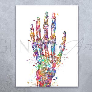 Hand Bones Watercolor Art Print: Orthopedic Gift