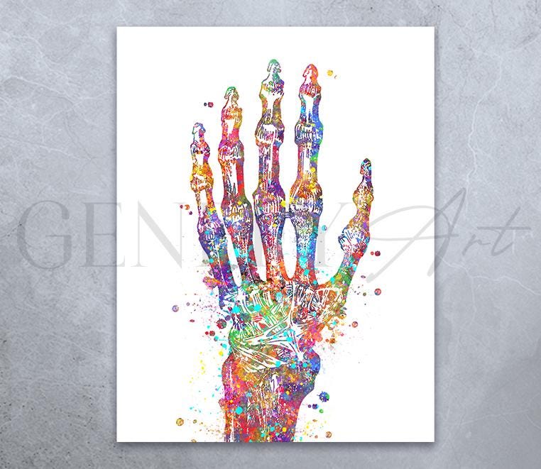 Hand Bones Watercolor Art Print - Wrist Joint Prints - Radiocarpal Joint Prints Skeletal Hand Bones Art Orthopedic Gift Orthopedic Art AS34