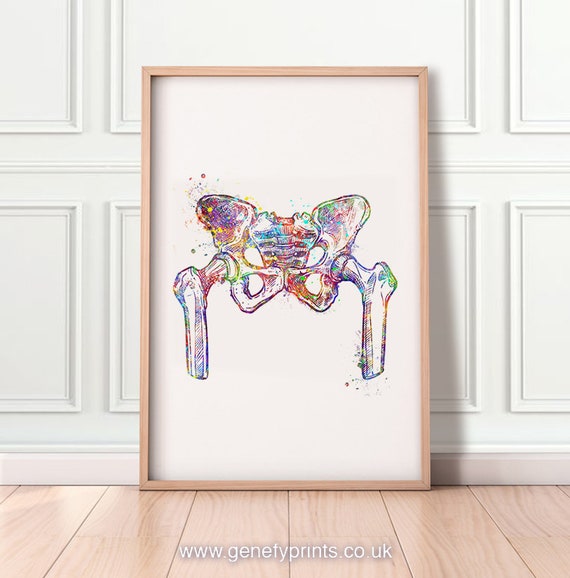Human Hip Bone Watercolor Art Print