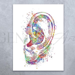 Ear Anatomy Watercolor Art Print - Ear Diagram Poster - Audiology Art - Medical Art Poster - Gift for Audiologists - Audiology Print AS91