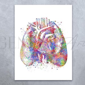 Heart and Lungs Anatomy Watercolor Art Print