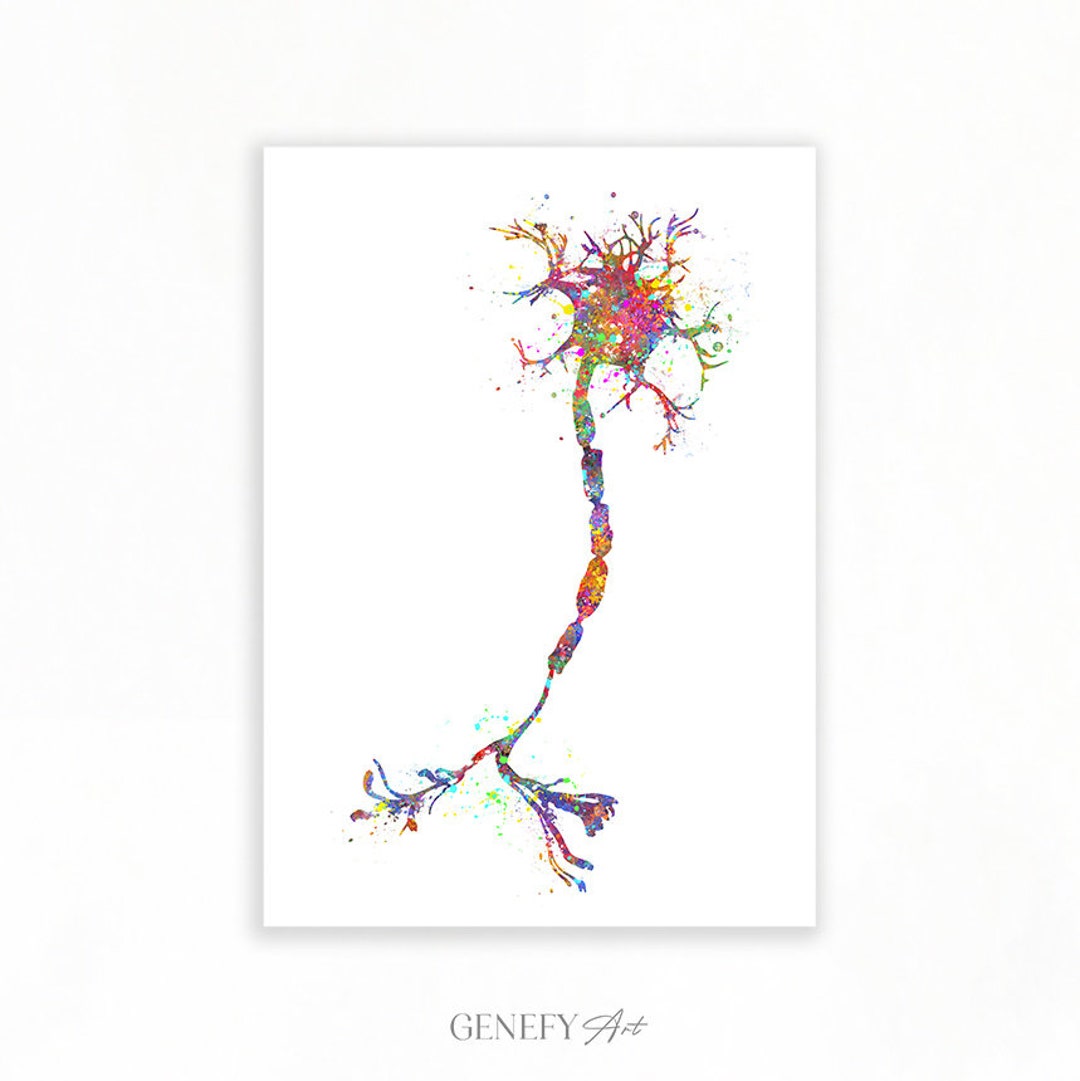 Motor Neuron Watercolor Art Print Neurology Art Central - Etsy