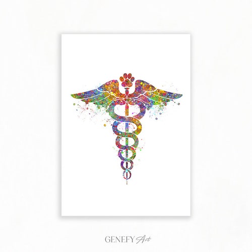 Veterinary Caduceus Watercolor Print Veterinary Clinic Medical Etsy