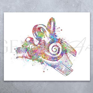 Ear Anatomy Watercolor Art Print - Ear Diagram Poster - Audiology Art - Medical Art Poster - Gift for Audiologists - Audiology Print