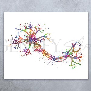May include: A colourful watercolour illustration of a neuron, a nerve cell, with a long axon and dendrites. The neuron is depicted in shades of pink, blue, green, yellow, and orange.