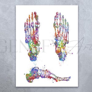 Foot Bones Watercolor Art Print - Osteology Prints - Osteology Watercolor Art - Skeletal Foot Bones Art - Orthopedic Gift Medical Gift AS32