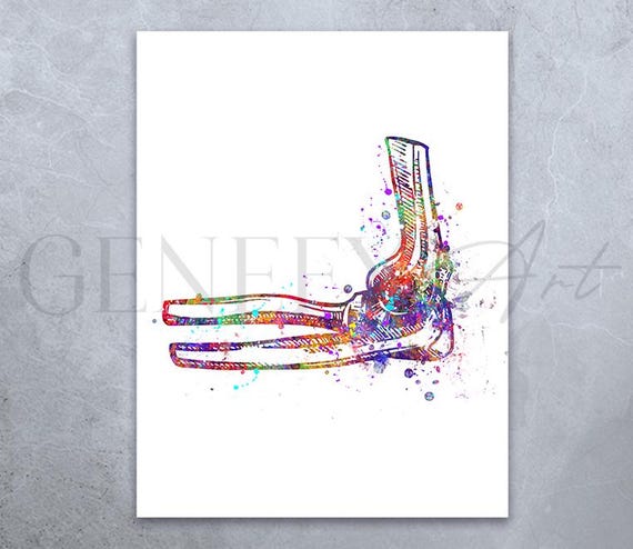 Elbow Joint Anatomy Watercolour Print: Physiotherapy Poster