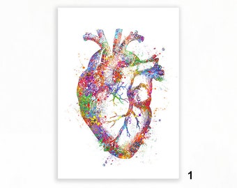 Heart Anatomy Watercolour Art Print - Cardiology Art - Heart Anatomy Prints - Cardiology Prints - Anatomy Art - Medical Art  AS38