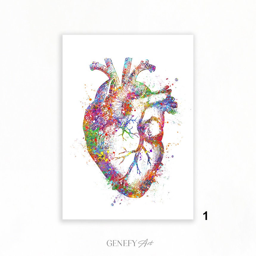 心臓解剖学水彩画アートプリント：心臓学装飾 - Etsy 日本