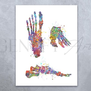 Foot Bones Watercolor Art Print - Osteology Prints - Osteology Watercolor Art - Skeletal Foot Bones Art - Orthopedic Gift Medical Gift AS84