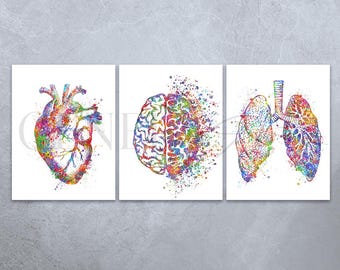 Watercolor Anatomy Art Print Set: Heart, Brain, Lungs