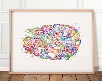 Ovary Anatomy Watercolour Art Print - Female Reproductive System Art-  - Ovary Poster - Gynaecology Prints - Ovaries Artwork AS59