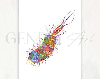 Bacterium Watercolor Art Print  - E. Coli Watercolor Art Painting - Escherichia Colie Art - Bacteriophage Decor - Biology Molecular Art AS9