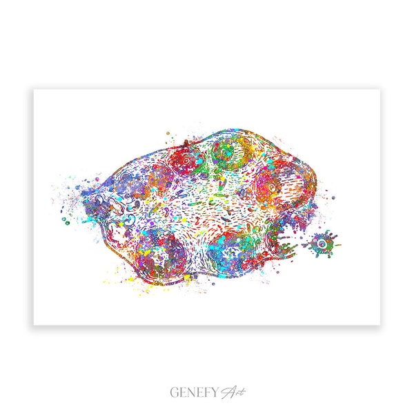 Ovary Anatomy Watercolour Art Print - Female Reproductive System Art - Ovary Poster - Gynaecology Prints - Ovaries Artwork