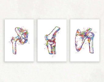 Hip Joint, Knee, Shoulder Bone Watercolour Print, Set of 3 Human Bone Prints, Orthopedic Prints, Orthopedic Poster AS96