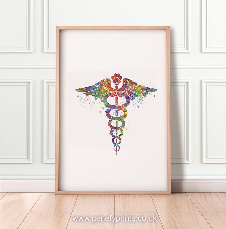 Veterinary Caduceus Medical Symbol Watercolor Art Print Gift Etsy