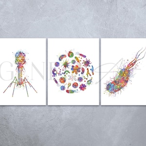 Può includere: Tre illustrazioni ad acquerello di diversi tipi di microbi. La prima immagine mostra un batteriofago, la seconda mostra una varietà di batteri e la terza mostra un singolo batterio.