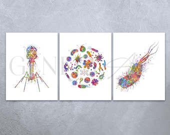 Microbiology Art Prints: E.Coli, Bacteria, Bacteriophage Watercolor - Set of 3