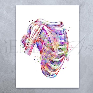 Human Chest and Shoulder Muscle Watercolour Art Print, Chiropractic Clinic Poster, Orthopedic Poster,Chiropractor Art Poster
