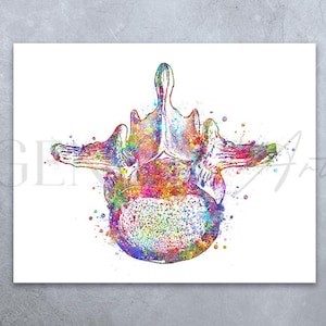 Lumbar 4 Vertebra Watercolor Art Print, Human Spinal Cord Anatomy Art, Vertebral Spinal Column, Vertebral Column Bones, Spine Art AS48