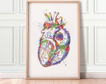 Heart Anatomy Watercolour Art Print - Cardiology Art - Heart Anatomy Prints - Cardiology Prints - Anatomy Art - Medical Art  AS38