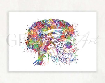 Brain Cranial Nerves Watercolour Print - Neurology Medical Art - Brain Anatomy Art - Brain Anatomy Prints - Gift for Neurologist AS93