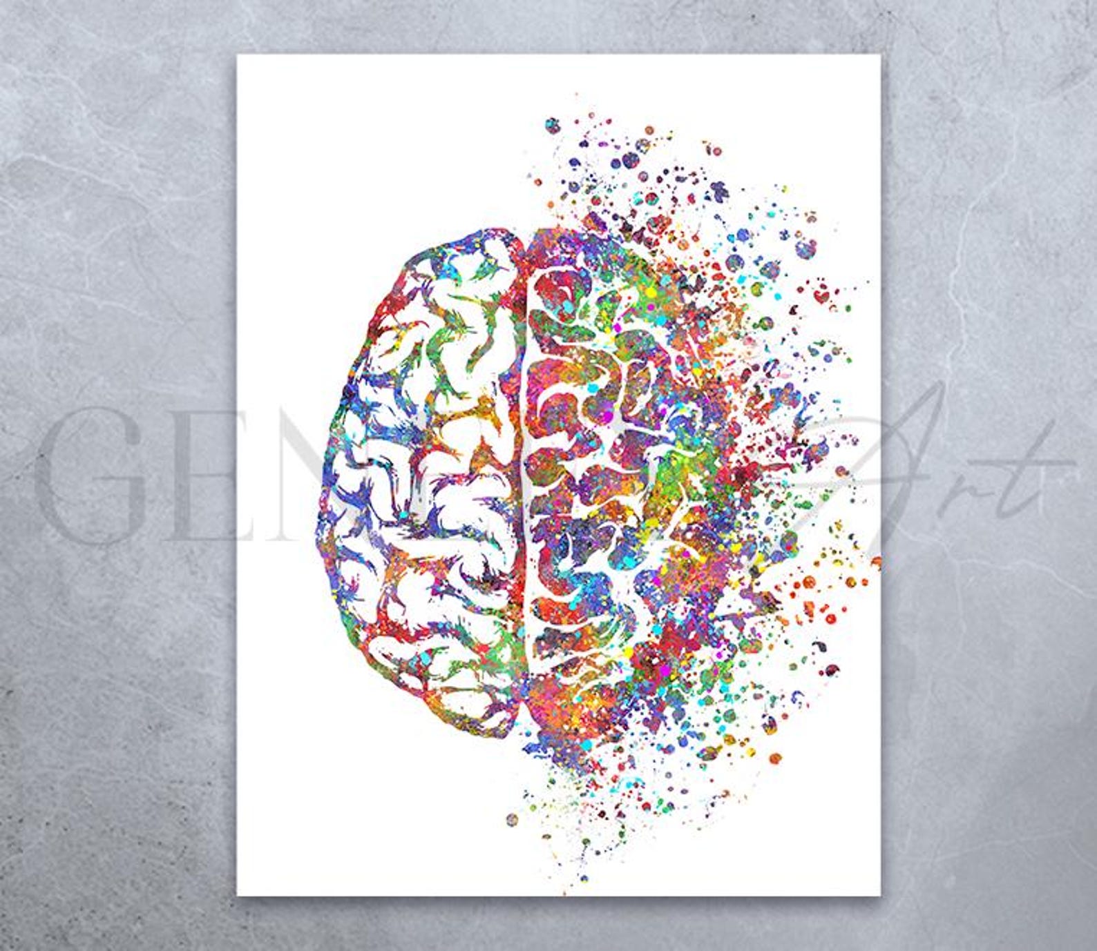 Watercolor Brain Art Print: Neurology Anatomy Poster - Etsy
