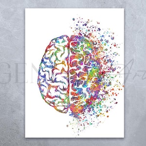Impressão de arte em aquarela do cérebro direito e esquerdo - Neurologia Arte médica - Pôster médico do cérebro Anatomia Arte abstrata Decoração de parede do cérebro AS64