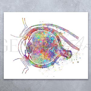 Oog anatomie aquarel kunst - oog medische kunst print - oogheelkunde poster - optometrie abstracte print - cadeau voor optometrist AS95