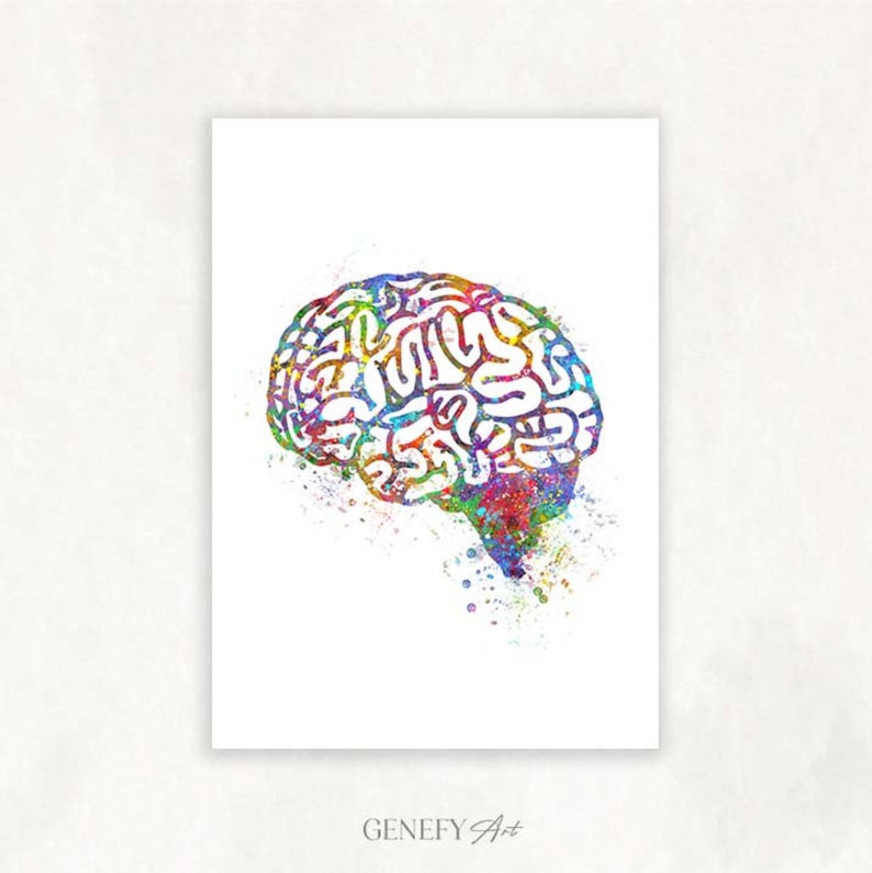 Brain Watercolor Art Print Brain Anatomy Watercolor Print - Etsy UK
