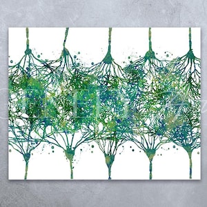 Può includere: Un dipinto ad acquerello di una serie di neuroni interconnessi, che assomigliano a una foresta di rami verdi e blu. L'opera d'arte rappresenta la complessa rete di cellule nervose, evidenziando la complessità del cervello umano.