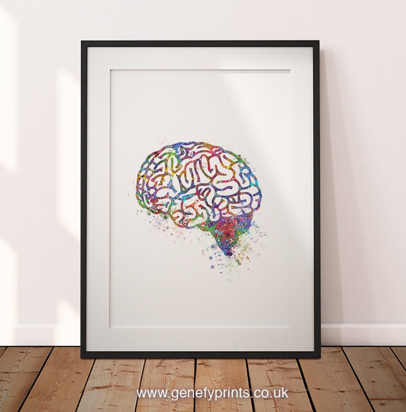 Brain Watercolor Art Print Brain Anatomy Watercolor Print | Etsy