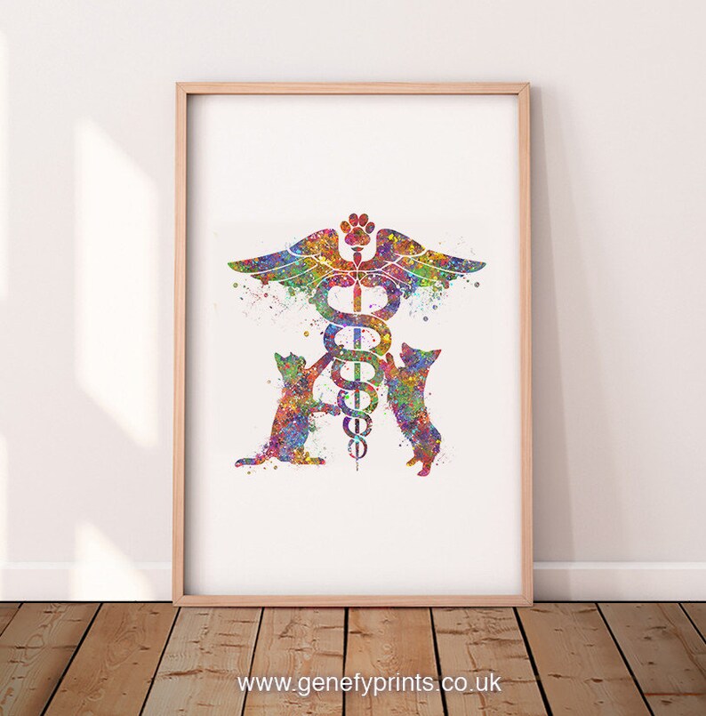 Veterinary Caduceus Medical Symbol Watercolor Art Print Gift Etsy UK