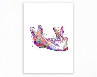 Mouth Anatomy Watercolour Art Print - Maxillary Bone Art - Maxilla Art - Dental Poster Medical Art - Speech Therapy Art - Dentistry Art