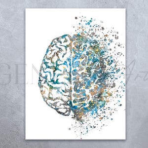Watercolor Brain Art Print: Neurology Anatomy Poster