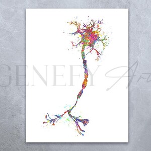 May include: A colorful watercolor illustration of a neuron, a type of nerve cell, with a cell body, axon, and dendrites. The neuron is depicted in shades of pink, blue, green, yellow, and orange.