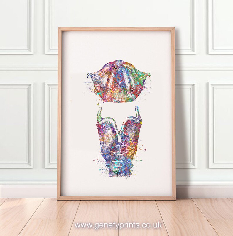 Larynx and Vocal Folds AS45 Speech Therapy Art Vocal Folds Print Vocal Box Print Larynx Watercolor Art Print Vocal Cord Print