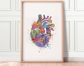 Heart Anatomy Watercolor Art Print  - Heart Anatomy Watercolor Art Painting - Cardiology Art - Anatomy Art - Gift for Cardiologists AS37