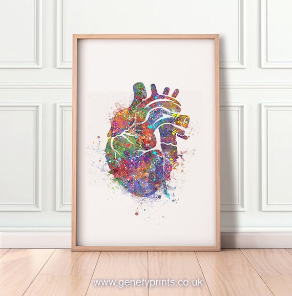 心臓解剖学水彩画アートプリント：心臓病学ギフト - Etsy 日本