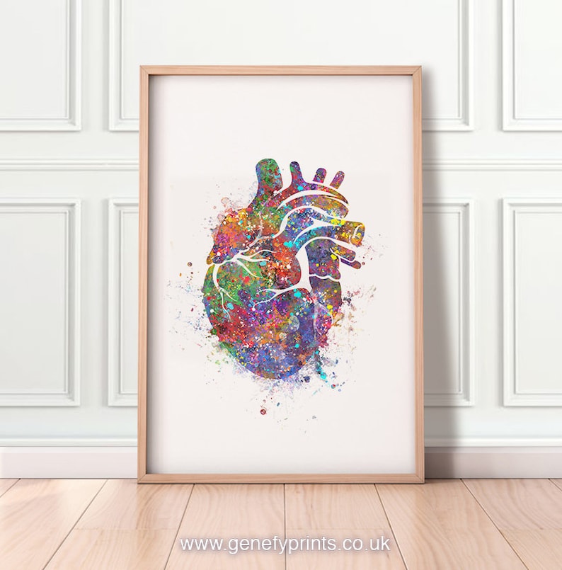 Heart Anatomy Watercolor Art Print Heart Anatomy Watercolor Art Painting Cardiology Art Anatomy Art Gift for Cardiologists AS37 image 1