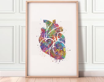 Heart Anatomy Watercolor Art Print  - Cardiology Art - Heart Anatomy Poster - Gift for Cardiologists - Heart Anatomy Diagram AS35