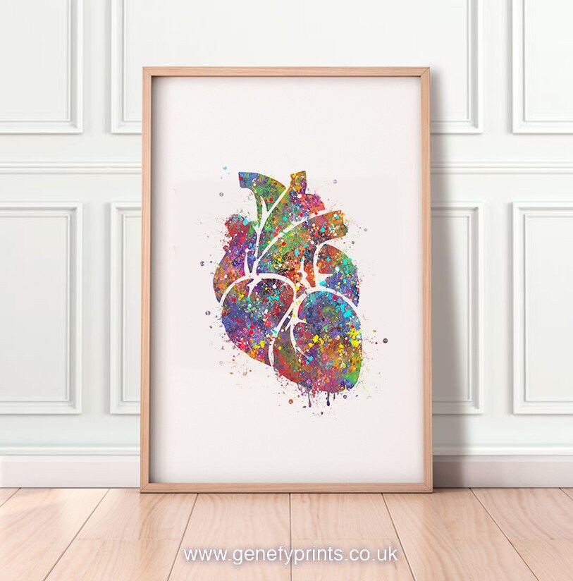Heart Anatomy Watercolor Art Print: Cardiology Gift - Etsy UK