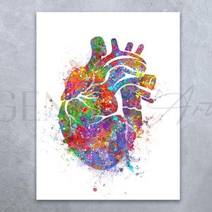 Heart Anatomy Watercolor Art Print  - Heart Anatomy Watercolor Art Painting - Cardiology Art - Anatomy Art - Gift for Cardiologists AS37