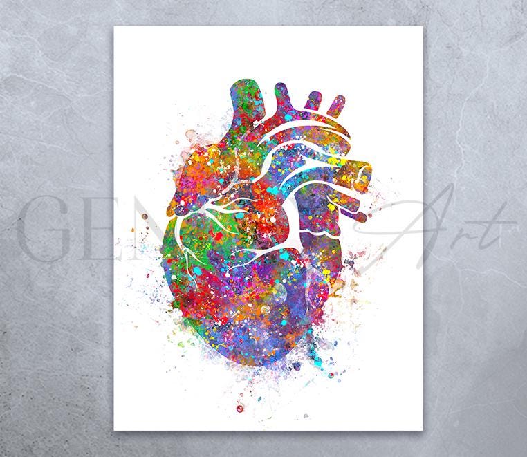心臓解剖学水彩画アートプリント：心臓病学ギフト - Etsy 日本