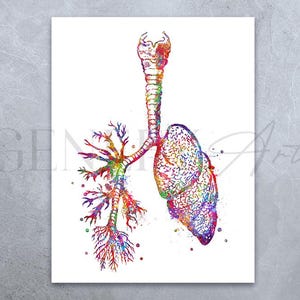 Lungs Anatomy Watercolor Art Print: Medical Science Poster