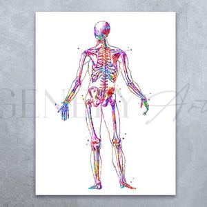 Human Skeleton Watercolour Art Print - Human Skeleton Torso Poster - Human Skeleton Anatomy Art - Torso Skeletal Bones Poster