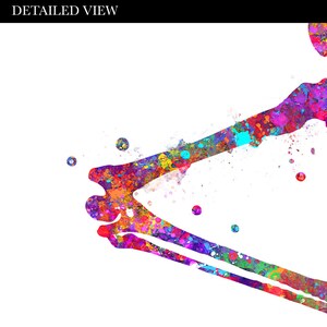 May include: A colorful watercolor painting of a human elbow joint. The bones are outlined in black and filled with vibrant colors, including pink, blue, green, yellow, and orange. The background is white with scattered paint splatters.