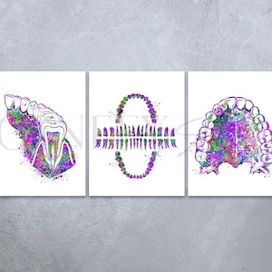 Dental Office Decor - Set of 3 Prints - Dentistry Art Prints - Teeth Poster - Teeth Diagram - Dental Clinic Decor Ideas AS88 - Purple Shade
