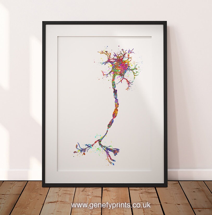 Motor Neuron Watercolor Art Print Neurology Art Central | Etsy