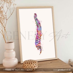 Spinal Cord Watercolor Art Print - Coccyx Vertebrae Art Poster ...